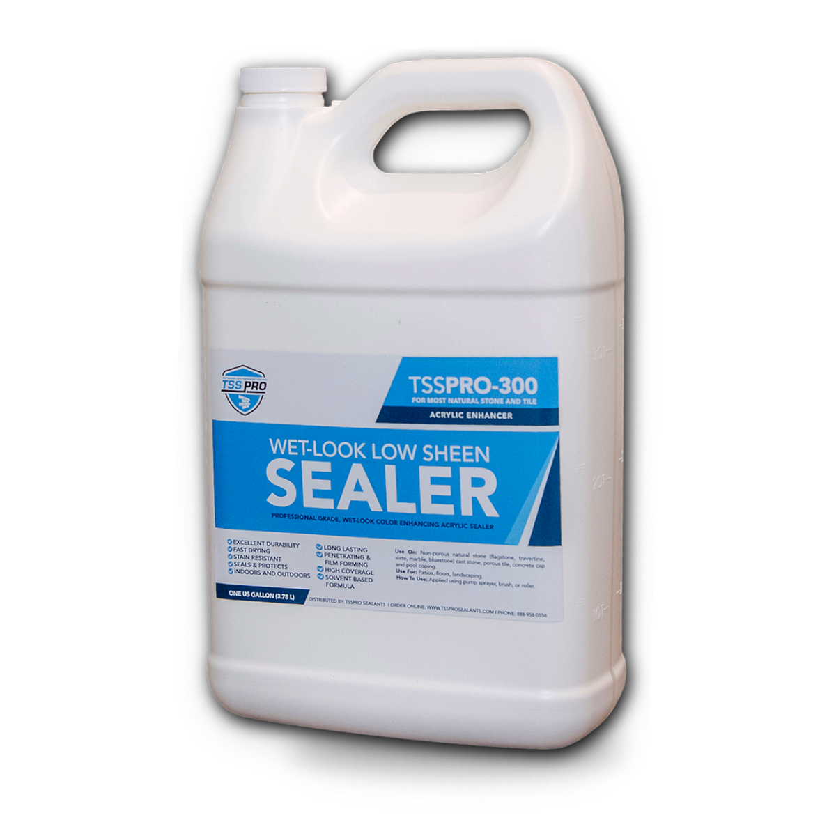 TSSPRO 300 Wet Look Low Sheen Sealer