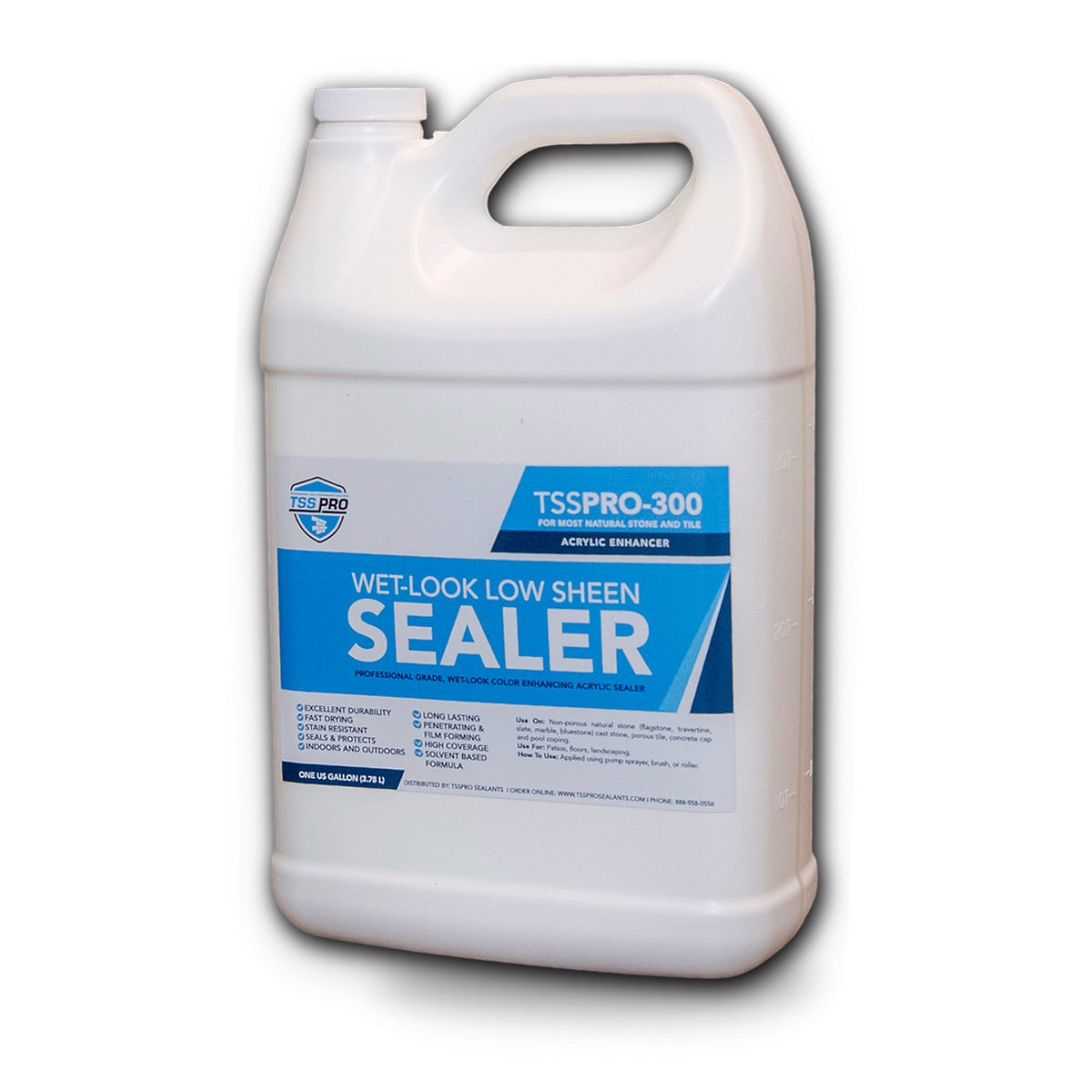 TSSPRO 300 Wet Look Low Sheen Sealer