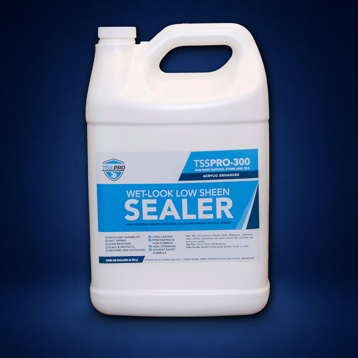 TSSPRO 300 Wet Look Low Sheen Sealer
