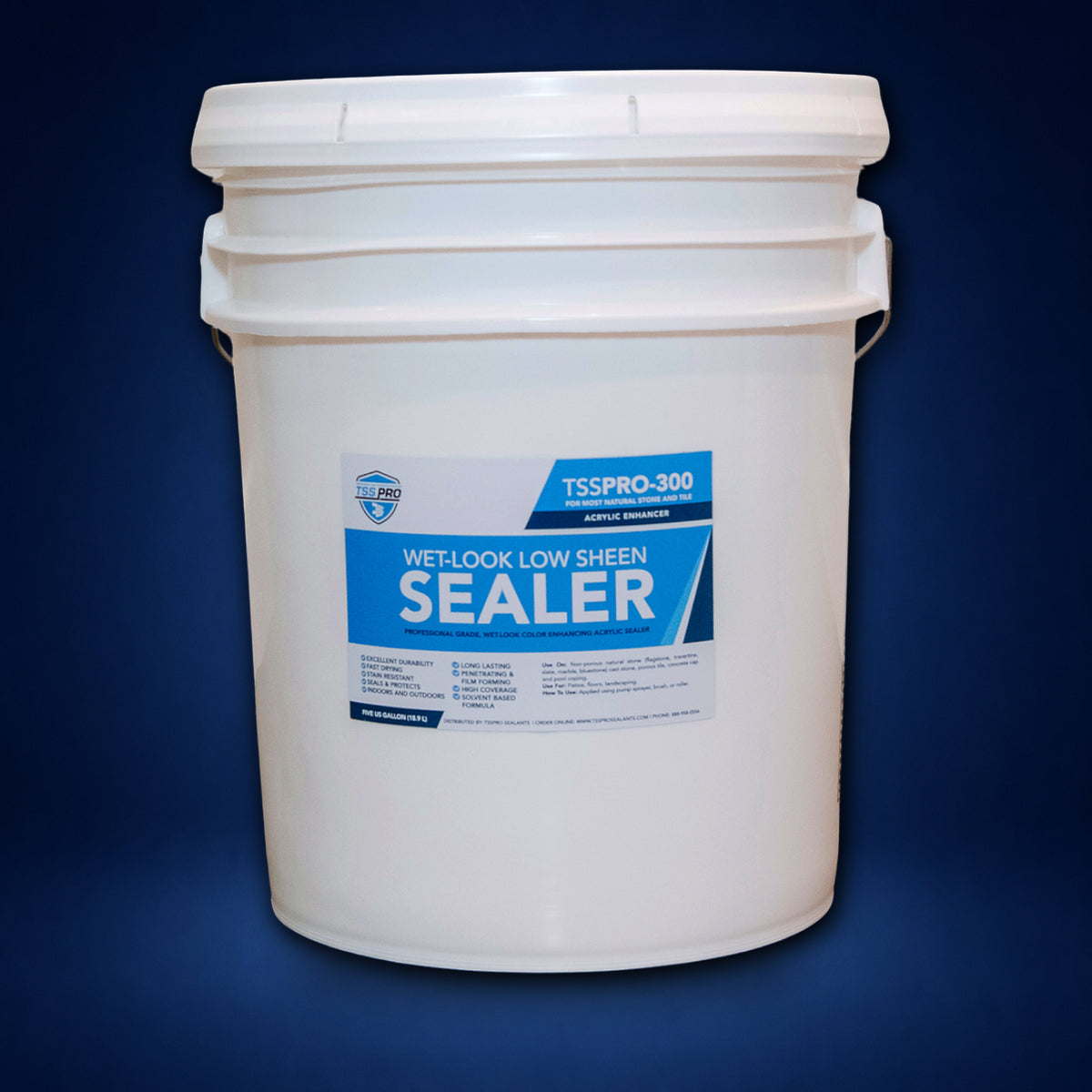 TSSPRO 300 Wet Look Low Sheen Sealer