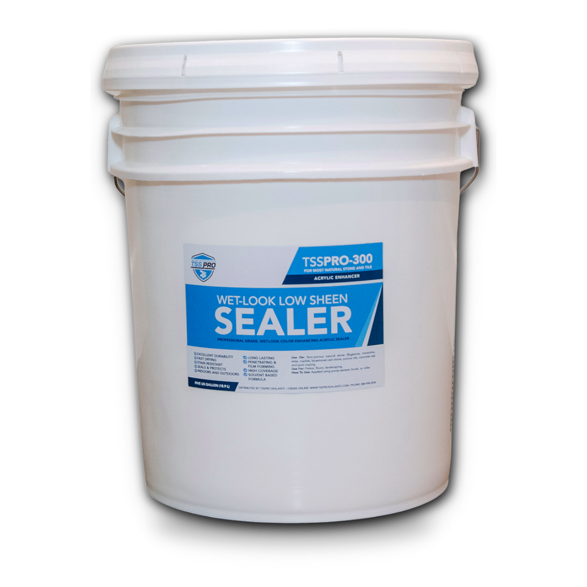 TSSPRO 300 Wet Look Low Sheen Sealer