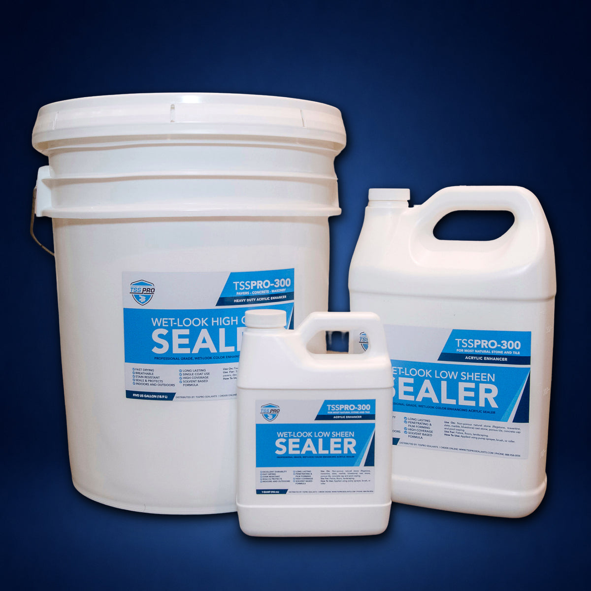 TSSPRO 300 Wet Look Low Sheen Sealer
