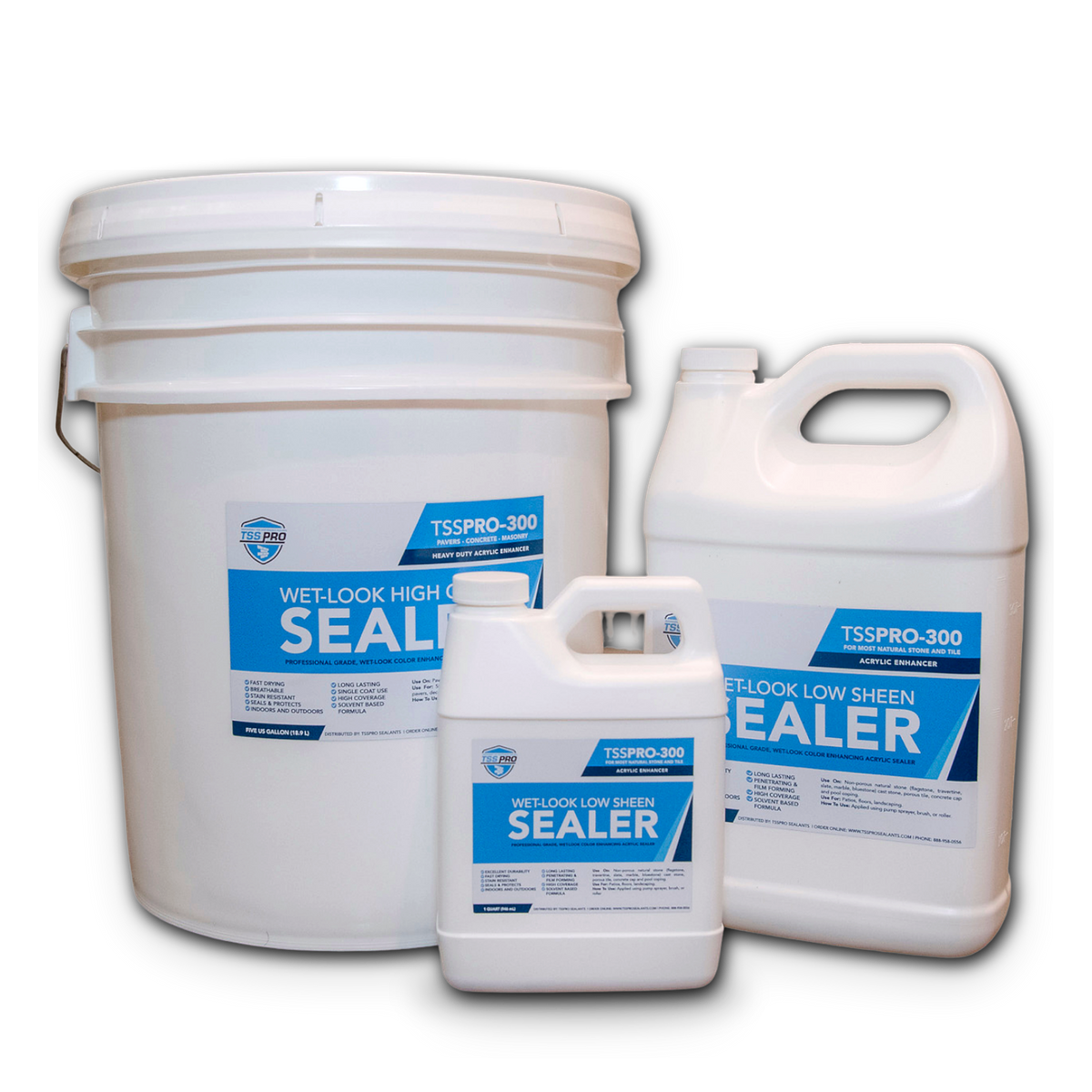 TSSPRO 300 Wet Look Low Sheen Sealer