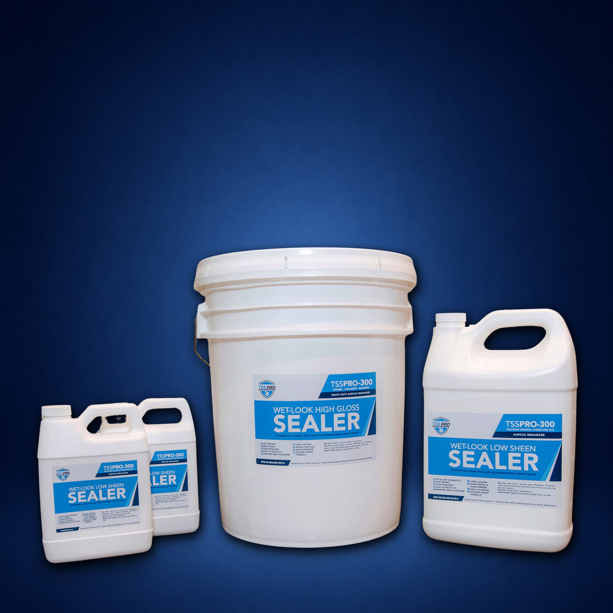 TSSPRO 300 Wet Look Low Sheen Sealer