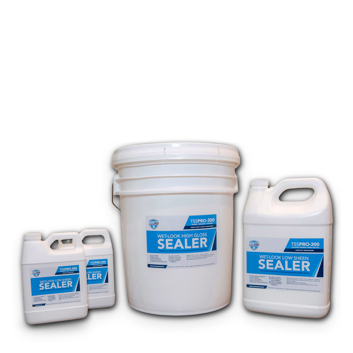 TSSPRO 300 Wet Look Low Sheen Sealer