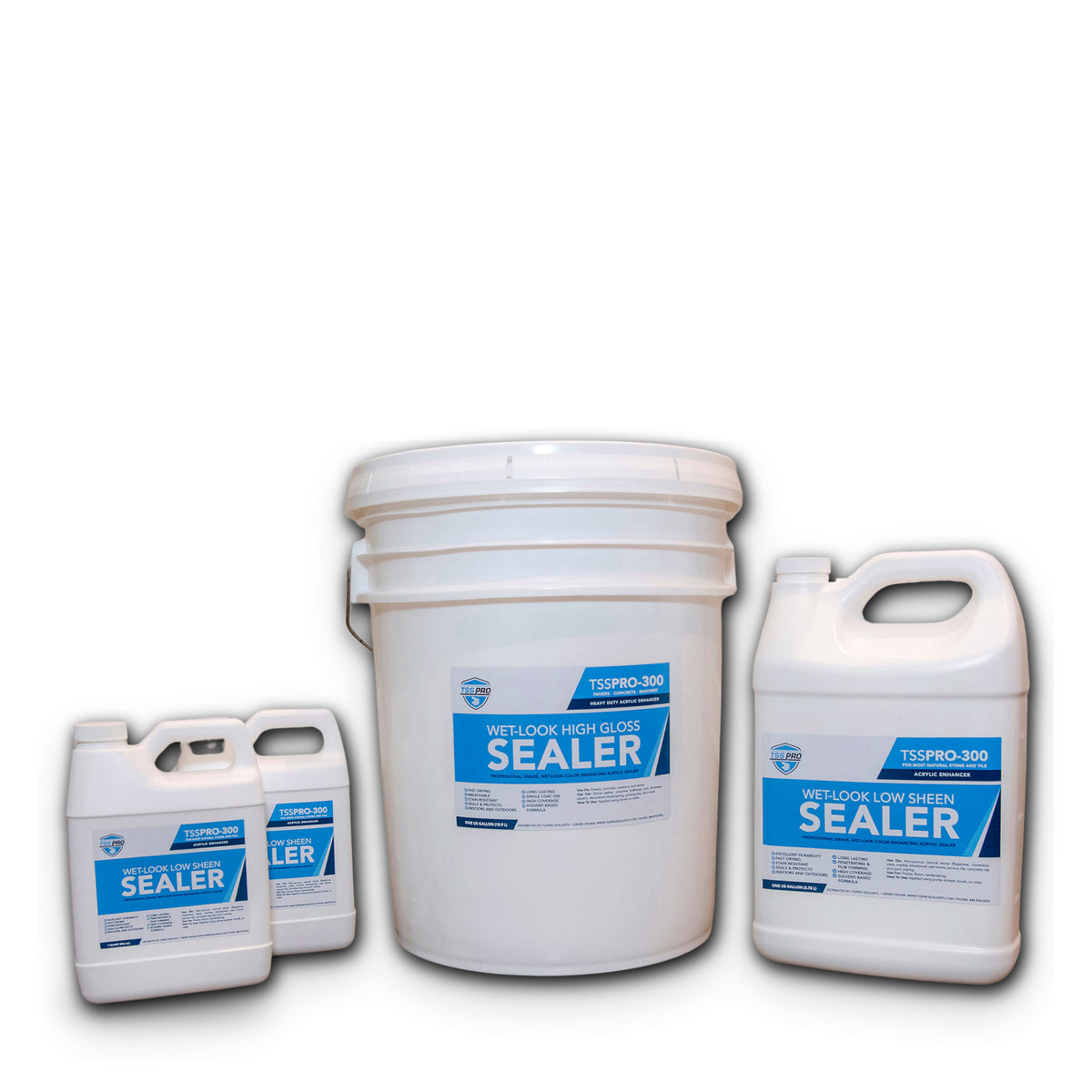 TSSPRO 300 Wet Look Low Sheen Sealer