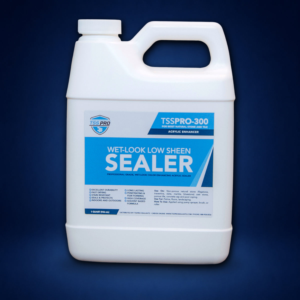 TSSPRO 300 Wet Look Low Sheen Sealer