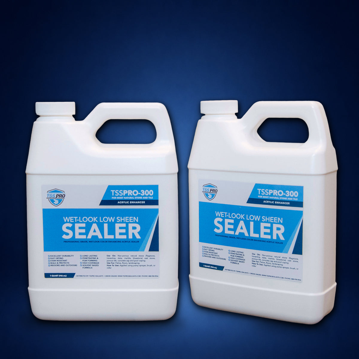 TSSPRO 300 Wet Look Low Sheen Sealer